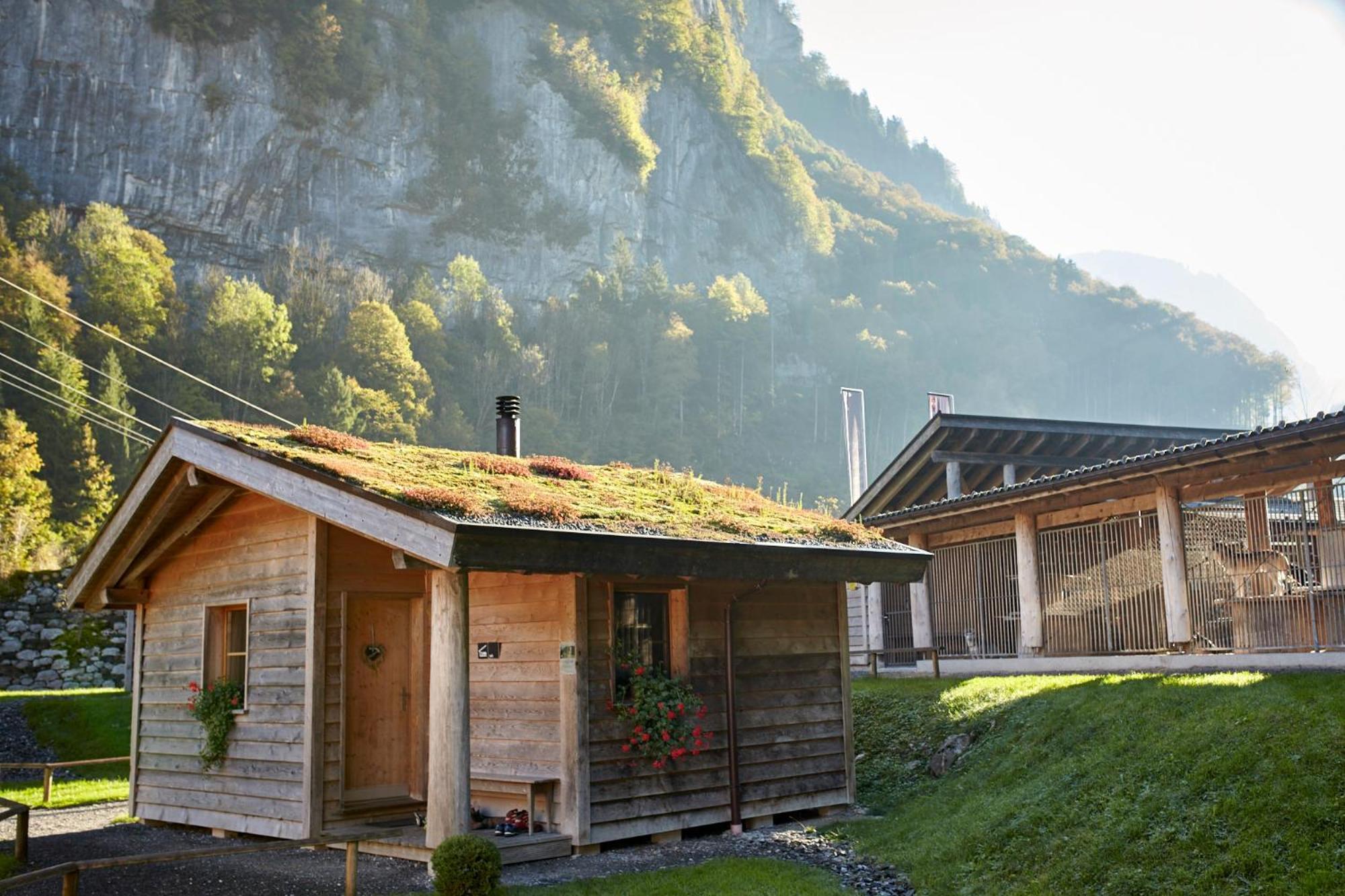 Huettenhotel Husky Lodge Muotathal Kültér fotó